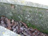 image of grave number 240902